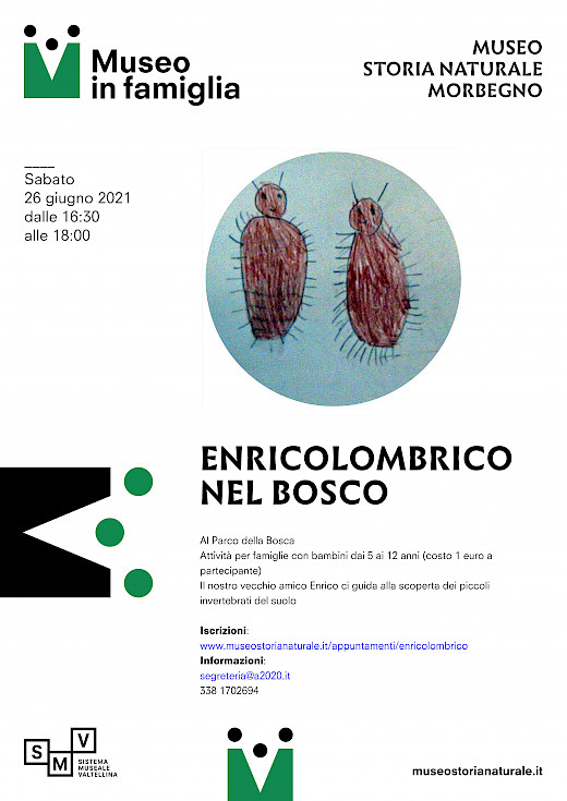 Enricolombrico nel bosco