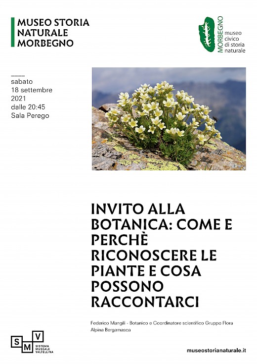 Invito alla Botanica: come e perchè riconoscere le piante, e cosa possono raccontarci