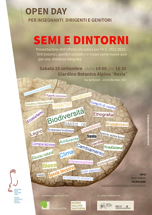 Semi e dintorni