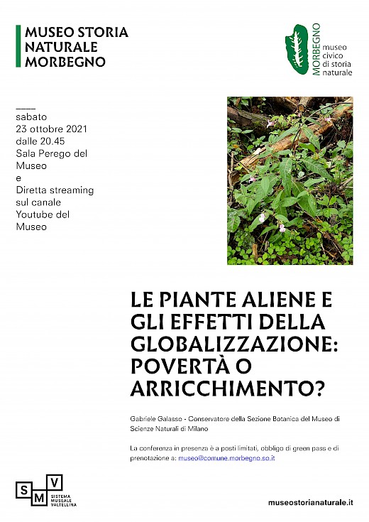 Le piante aliene e gli effetti della globalizzazione: invasione o arricchimento?