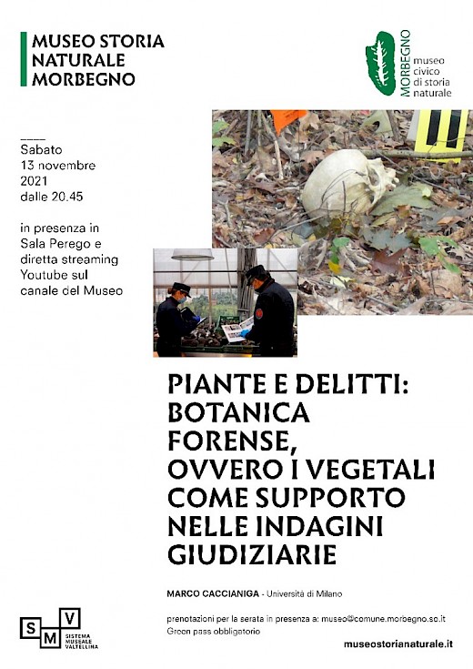 Piante e delitti: botanica forense, ovvero i vegetali come supporto nelle indagini giudiziarie