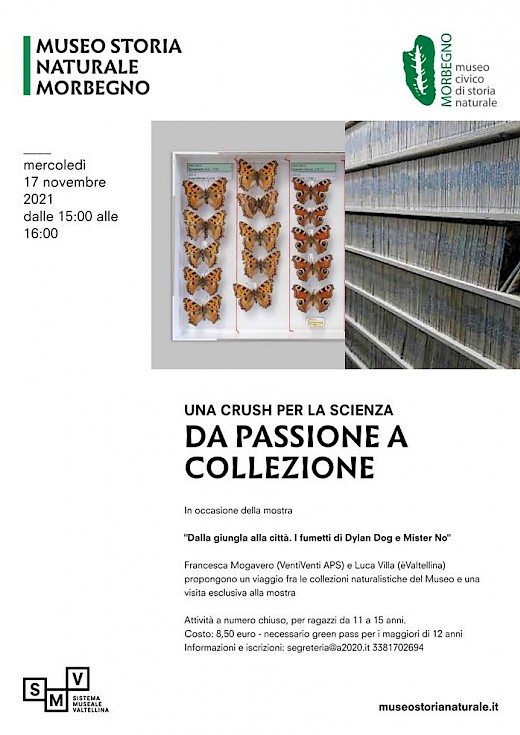 Da Passione a Collezione