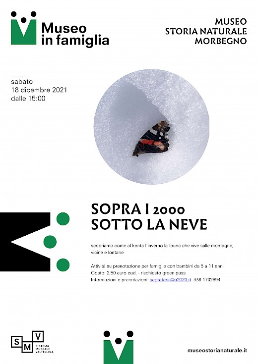 Sopra i 2000 sotto la neve