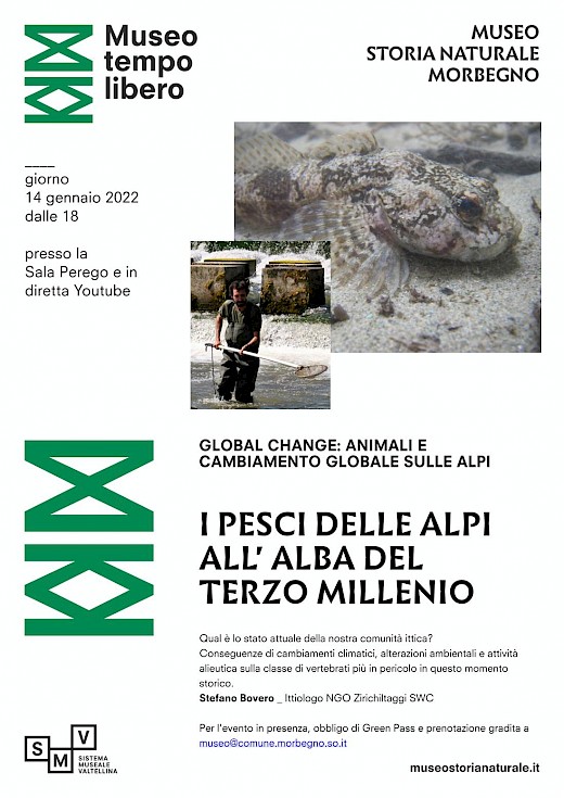 I pesci delle Alpi all'alba del terzo millennio