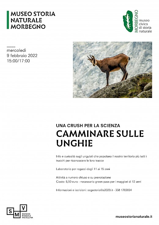 Camminare sulle unghie
