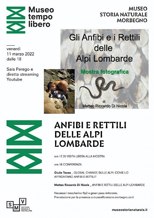 Anfibi e rettili delle Alpi Lombarde