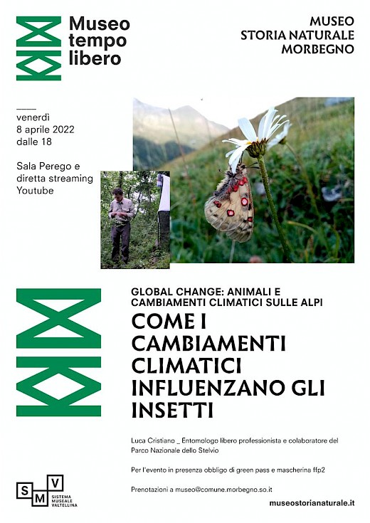 Come i cambiamenti climatici influenzano gli insetti