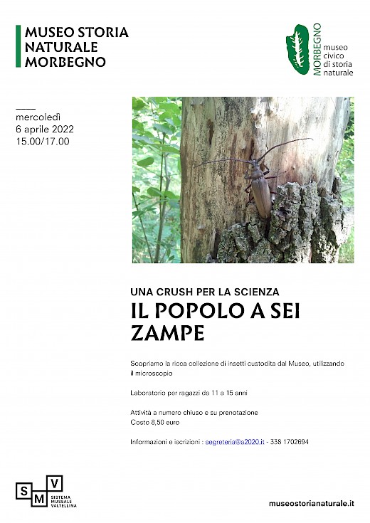 Il popolo a sei zampe