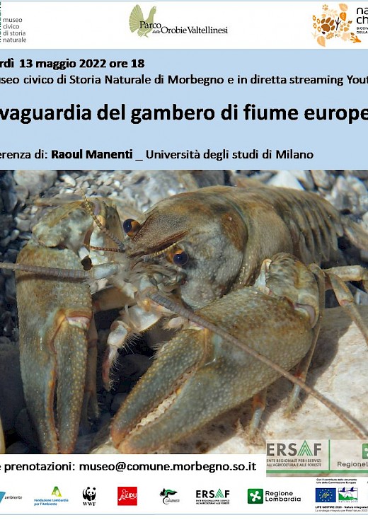 Salvaguardia del gambero di fiume europeo