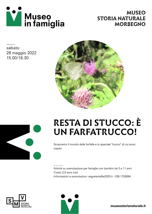 Resta di stucco: è un farfatrucco!