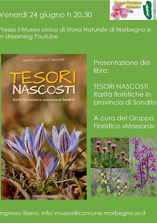 TESORI NASCOSTI Rarità floristiche in provincia di Sondrio