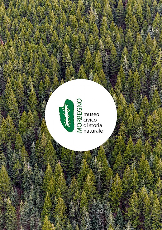 Corso di disegno naturalistico