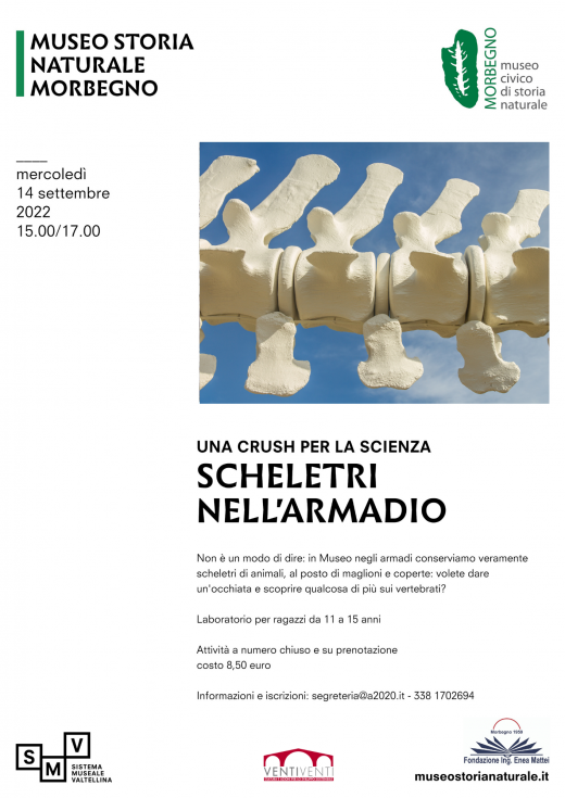 Scheletri nell'armadio