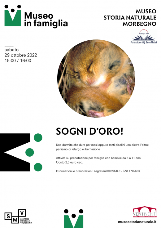 Sogni d'oro!