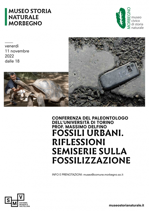 Fossili urbani. Riflessioni semiserie sulla fossilizzazione