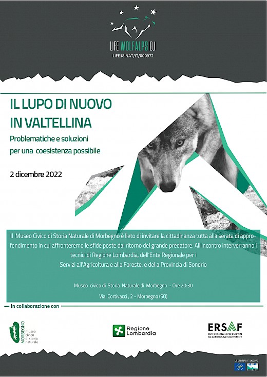 Il lupo di nuovo in Valtellina: problematiche e soluzioni per una coesistenza possibile