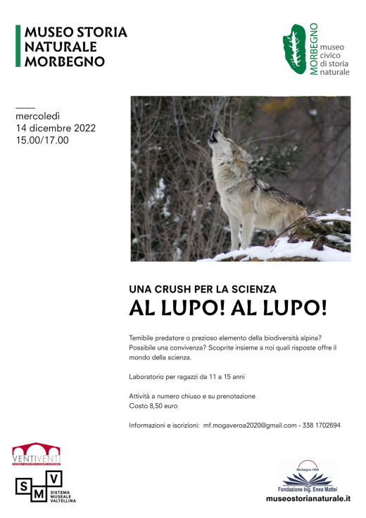 Al lupo! Al lupo!