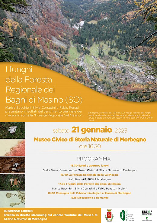I funghi della Foresta Regionale dei Bagni di Masino