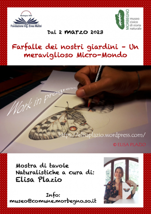 Mostra "Farfalle dei nostri giardini – Un meraviglioso Micro-Mondo"
