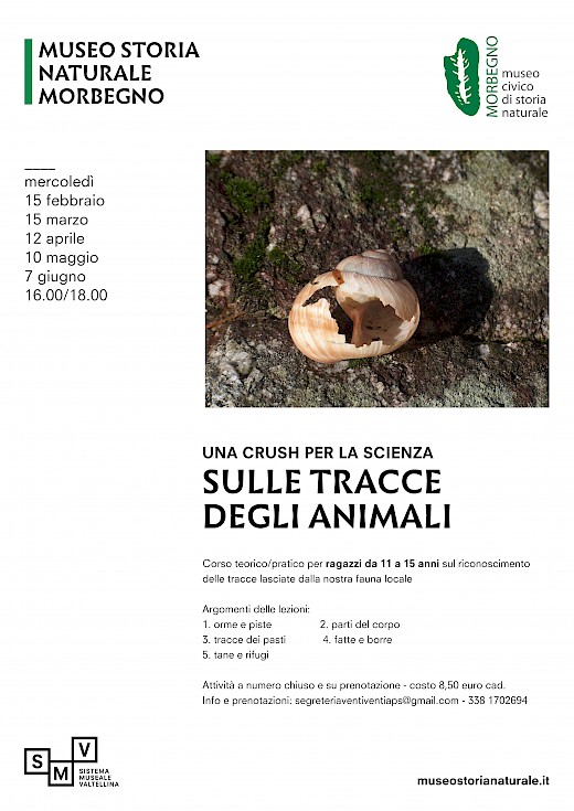 Sulle tracce degli animali