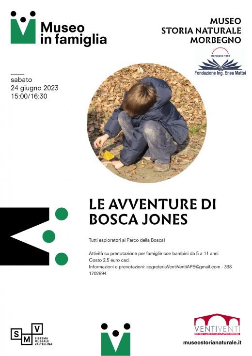 Le avventure di Bosca Jones