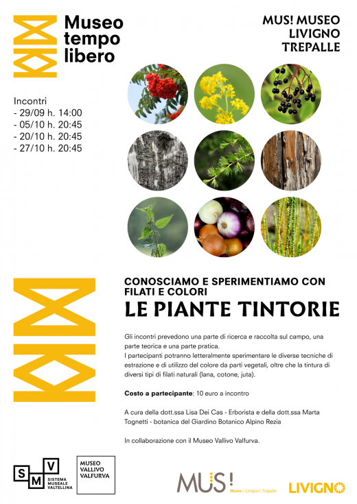 Le piante tintorie