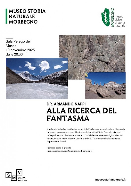 Alla ricerca del fantasma