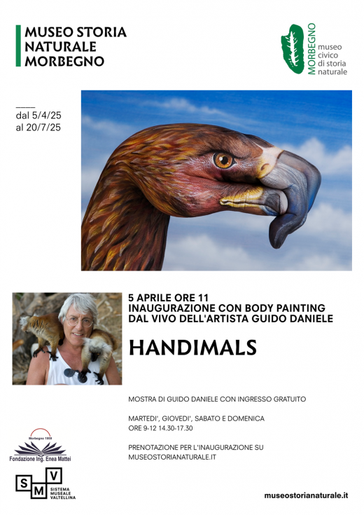 HANDIMALS