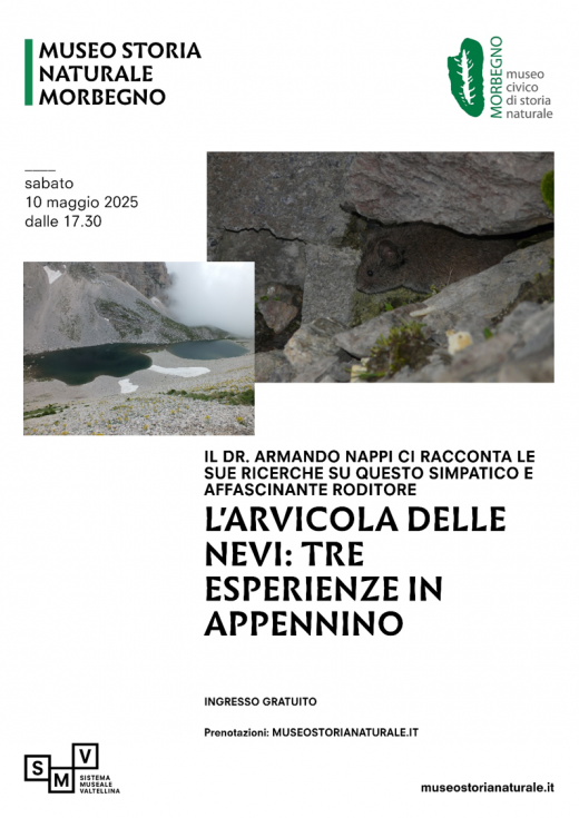 L'arvicola delle nevi: tre esperienze in Appennino