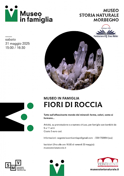 Fiori di roccia