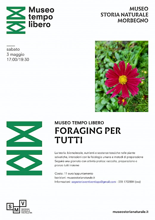 Foraging per tutti - TEORIA