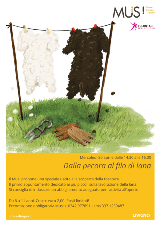 Dalla pecora al filo di lana