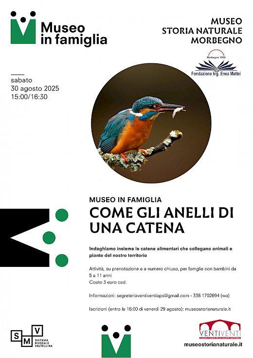 Come gli anelli di una catena