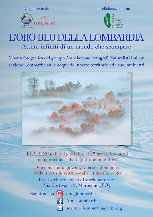 L'oro blu della Lombardia