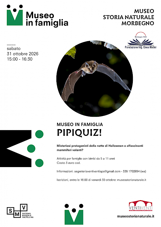 Pipiquiz!